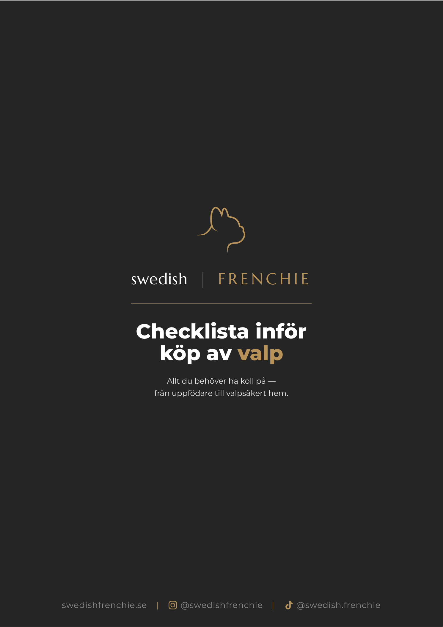 Checklista inför köp av valp