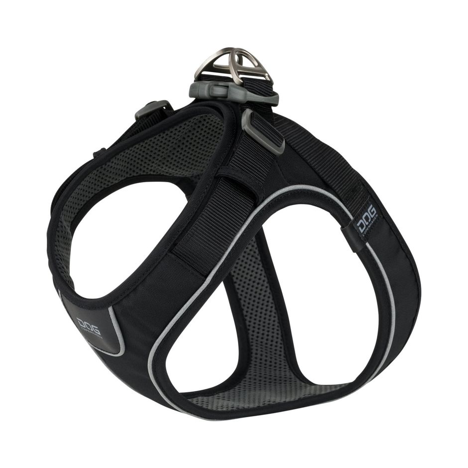 Liten fransk bulldoggsvalp med Comfort Walk Go step-in-sele, svart